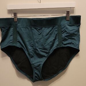 Teal High-Waisted Briefs